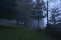 Schwarzwald 2013 - 016